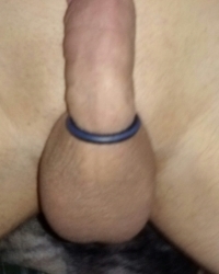 shaved cock